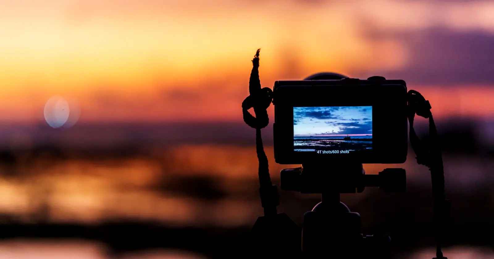 Before You Commit to a Concert or Festival Broadcast: A Checklist